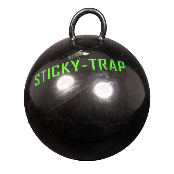 Sticky trap bal