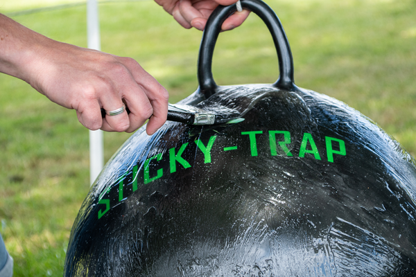 Sticky trap bal